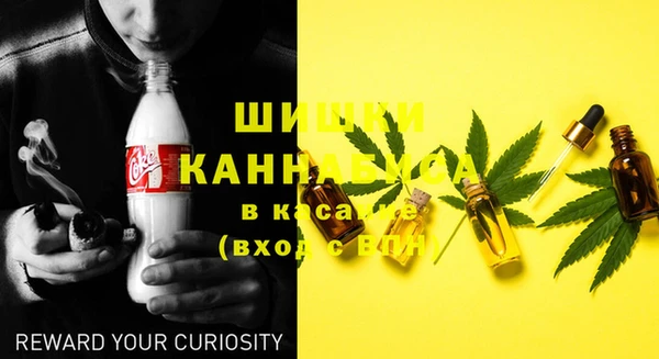 трава Сатка