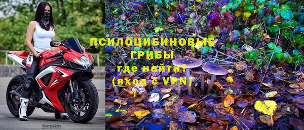 меф Арсеньев